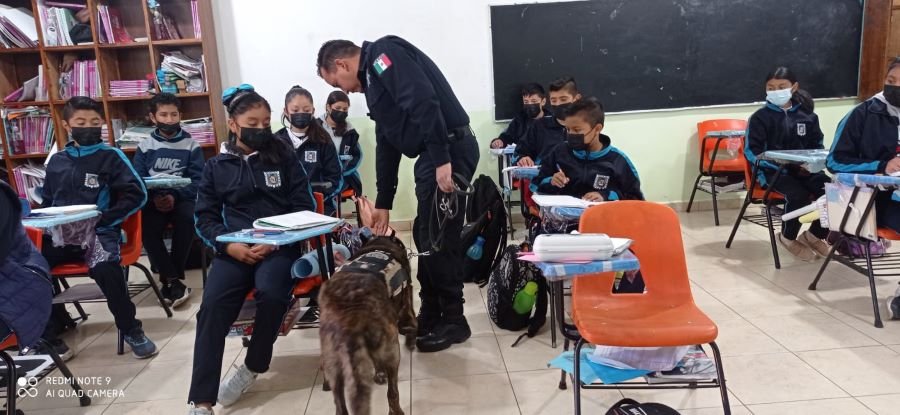 Dirección de Prevención del Delito en Instituciones Educativas y Sociedad Civil