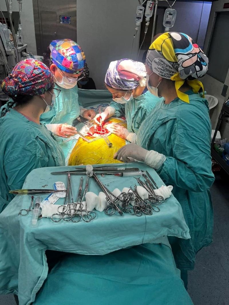 El Centro Estatal de Trasplantes Reporta 28 Donaciones en lo Que Va de 2024