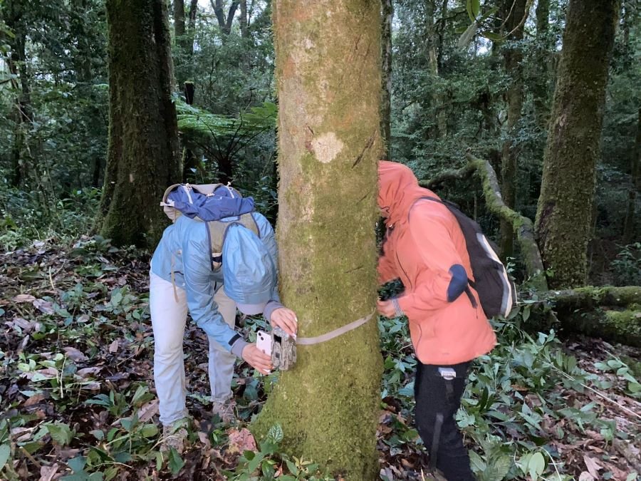 Hidalgo Refuerza La Protección de Su Biodiversidad Con La Instalación de Cámaras Trampa En La Región Otomí-Tepehua