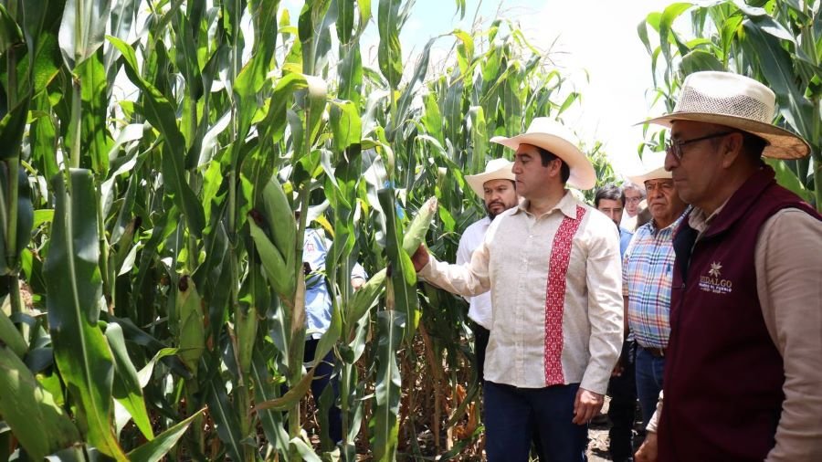 Saderh Visita Plataforma de Investigación Mixquiahuala del CIDT