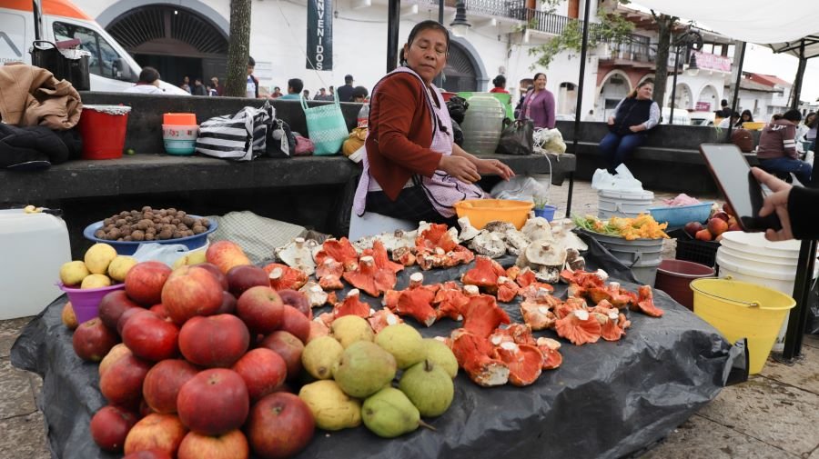 Se realizó exitosamente el Festival Universitario del Hongo y la Manzana en Acaxochitlán