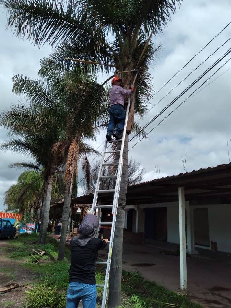 Semarnath Avanza en la Conservación de Germoplasma Forestal en la Entidad