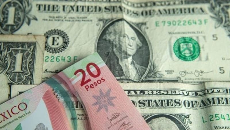 Afectará Reforma al Poder Judicial Economía de Los Más Pobres