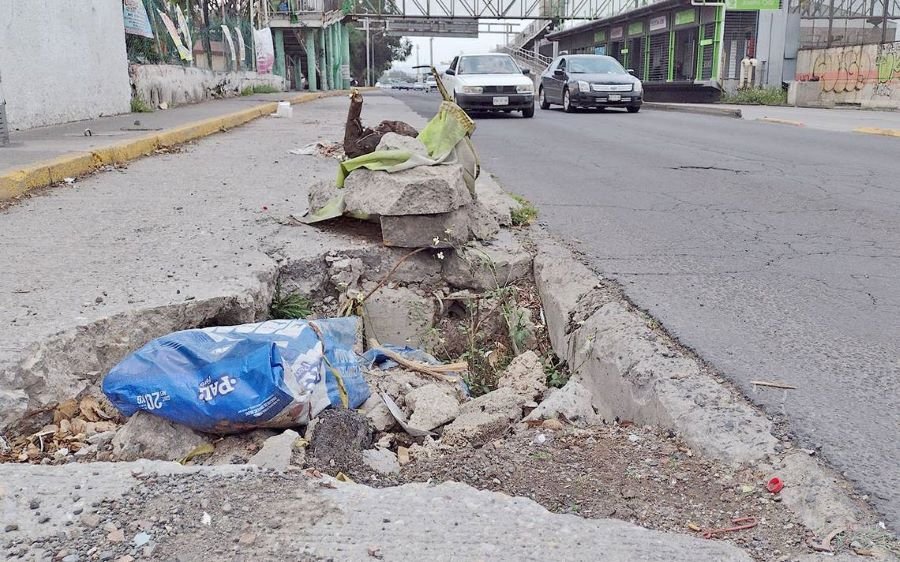 Delfina, Un Año de Pésimos Resultados