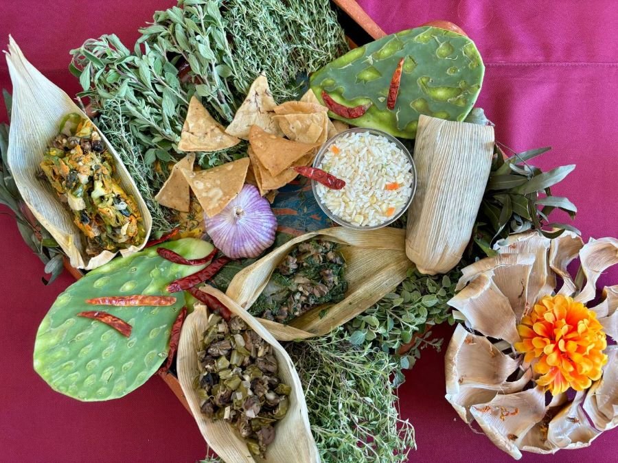 Descubre la Expo Feria San Francisco Tlahuelilpan 2024