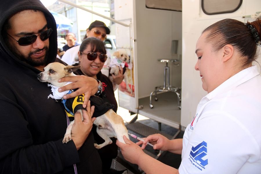 28	 de septiembre, Día Mundial contra la Rabia