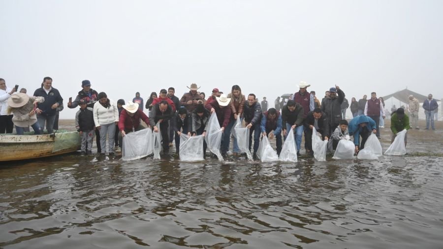Recupera Saderh Producción Pesquera en Lagunas y Presas
