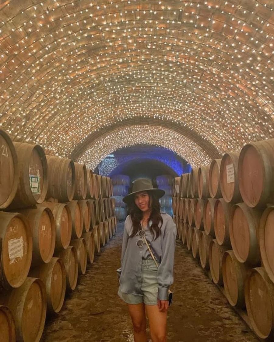 Transforma El Futuro, Estudia Ingeniería En Alimentos en UAEH