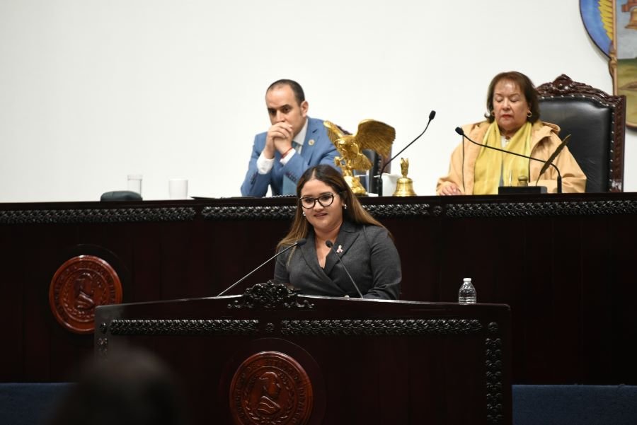 Destaca Titular de Salud, Acciones en Beneficio de la Población de Hidalgo, Durante su Comparecencia