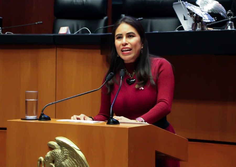 Morena en El Senado Busca Evitar Fraudes Con Tarjetas de Programas Sociales