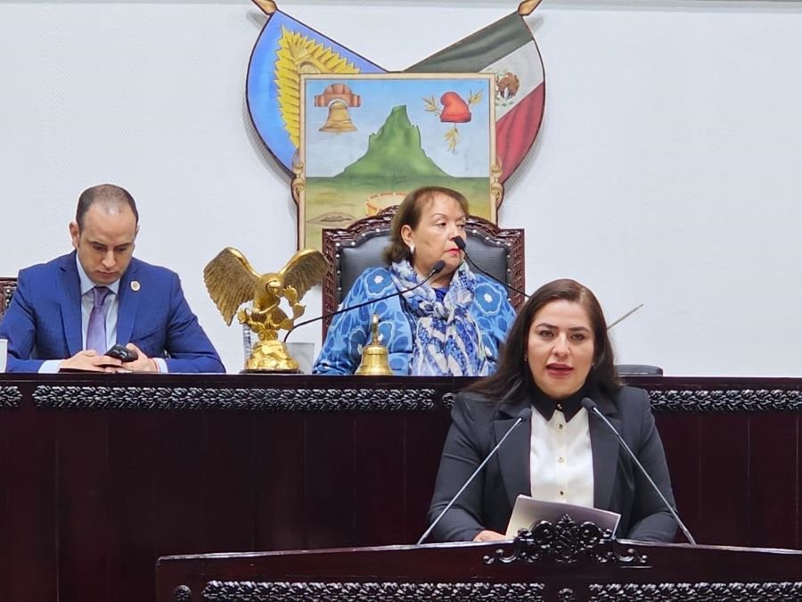 “Necesario fortalecer capacidades del estado mexicano y de las empresas públicas”: Alhely Medina