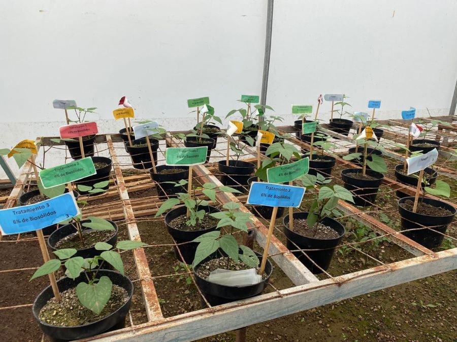 UAEH y Grupo Modelo Buscan Vinculación en Materia Científica