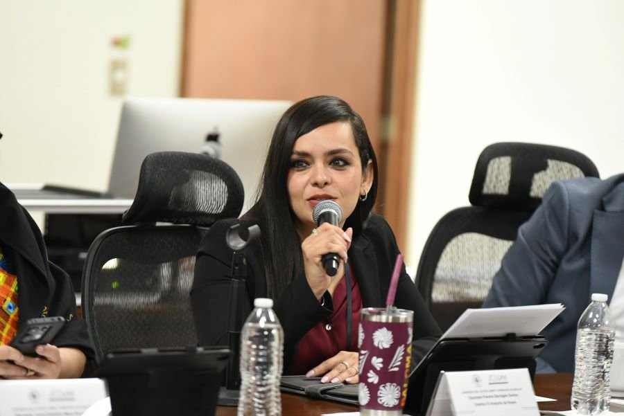 Piden a Municipios Crear Un Código Para Proteger a la Niñez de La Trata en el Sector Turístico