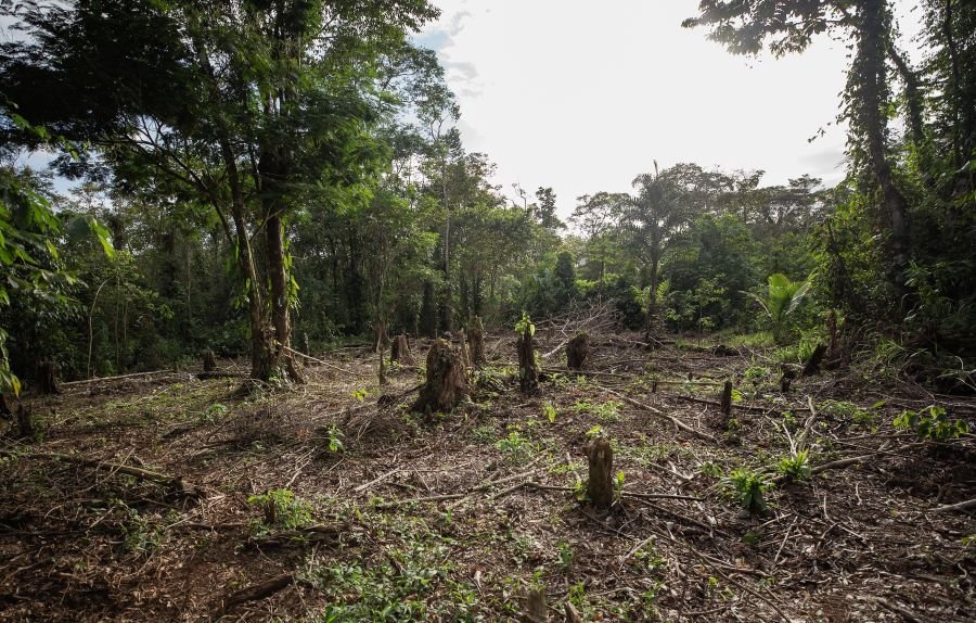 Anuncia La Secretaría de Agricultura “Estrategia Nacional de Transición Agroecológica 2024 – 2030”, Ante Agrónomos de UAM