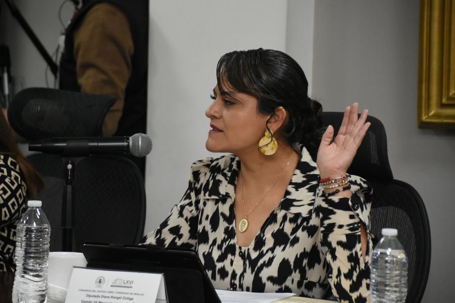 Congreso Hidalgo: Proponen Que Zonas Escolares Cuenten Con Servicio de Psicología