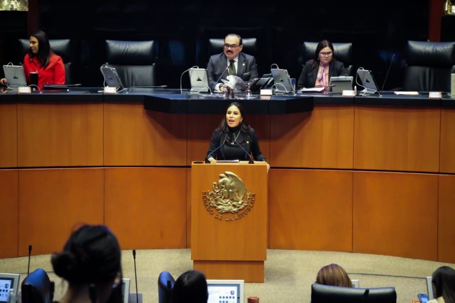 Avanza a Comisiones, Iniciativa Ley Cero Masnna Para Proteger a Menores