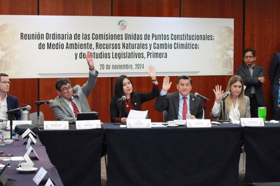 Avanza en Senado Reforma Constitucional de Protección y Cuidado Animal