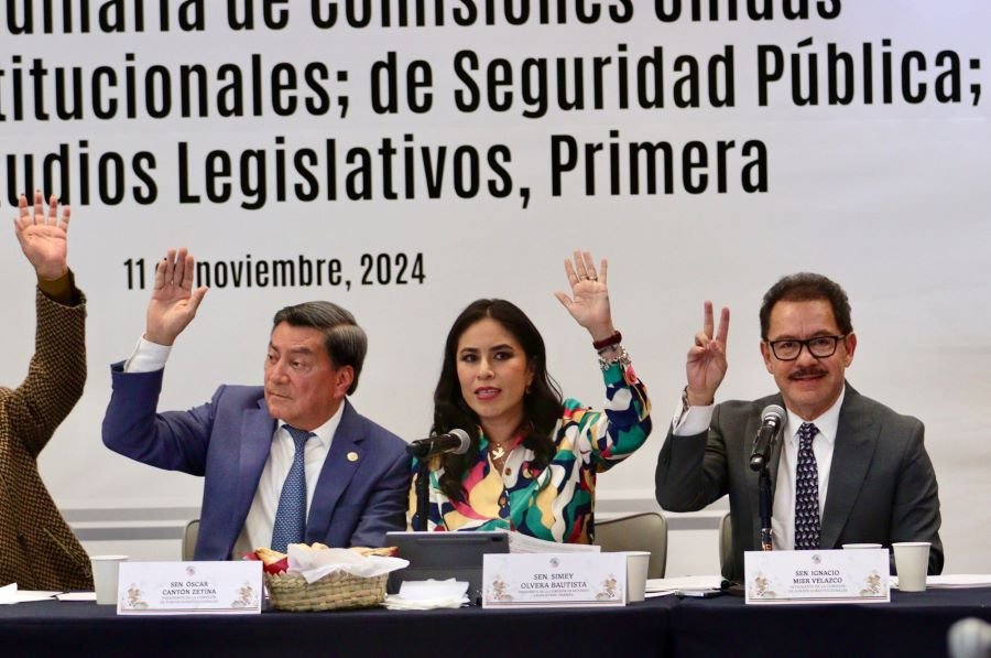 Comisiones del Senado Avalan Reforma en Materia de Seguridad Pública