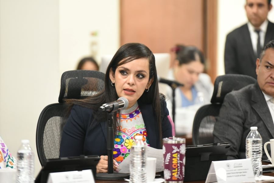 Diputada presentó iniciativa de reforma a la Ley de Asistencia Social para que el Estado brinde atención prioritaria a niñas, niños y adolescentes