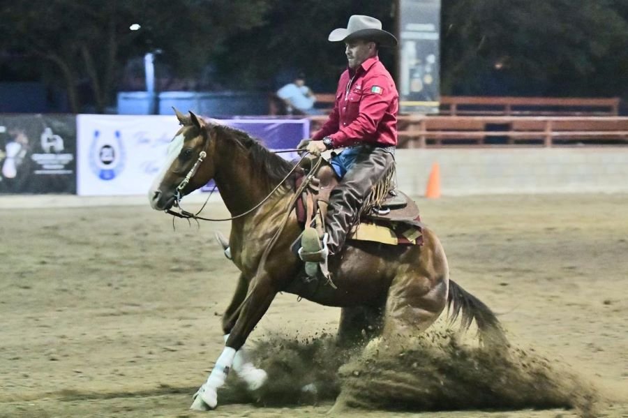 Reining Fall 2024 Classic: el Gran Evento Ecuestre Nacional, Llega a Hidalgo