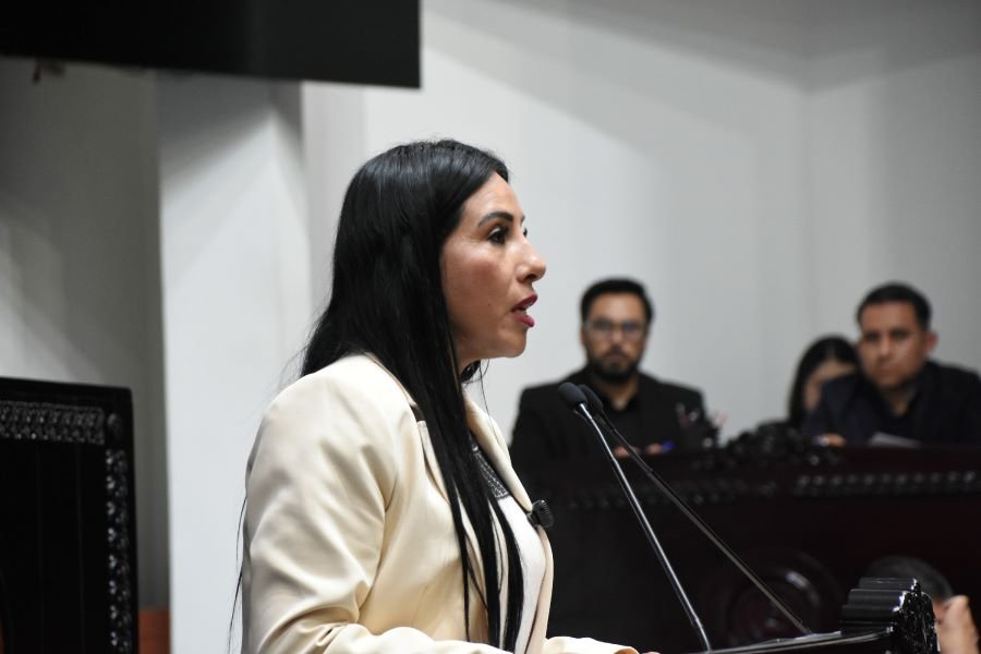 Primer Encuentro Nacional de Megalópolis Servirá Para Activar Nuevas Leyes: Hilda Miranda