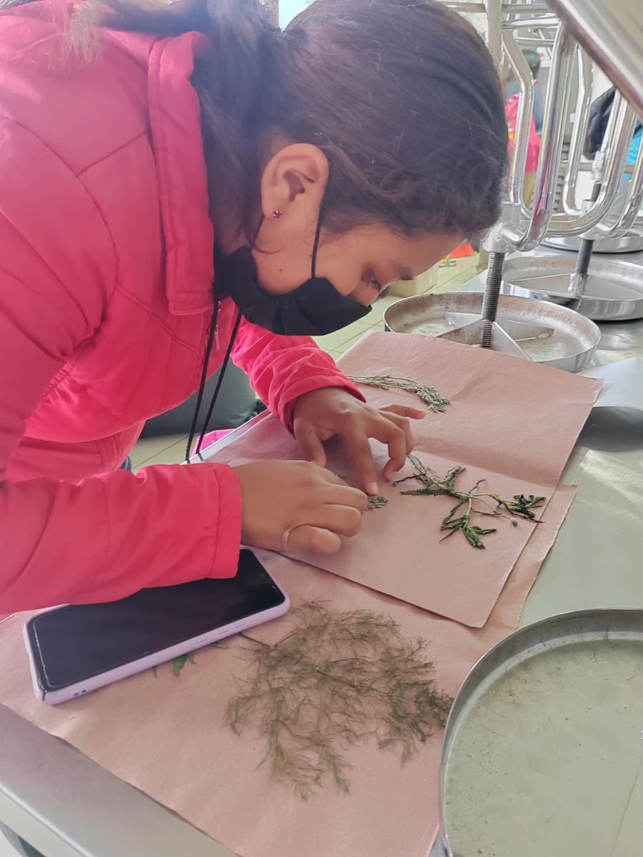 Estudiantes de Prepa 5 Difunden Riqueza Botánica de La Sierra Gorda Hidalguense