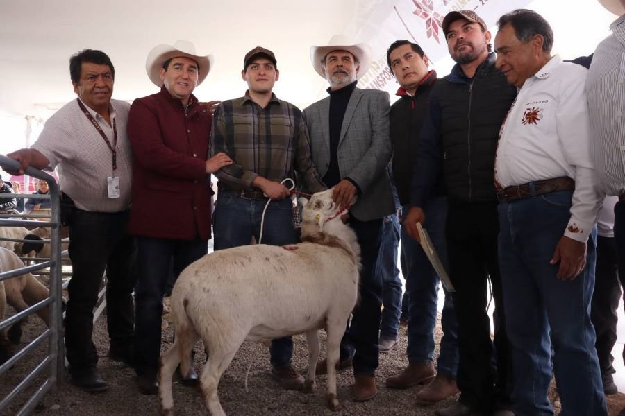 Hidalgo Fortalece Ovinocultura Con Entrega de Sementales