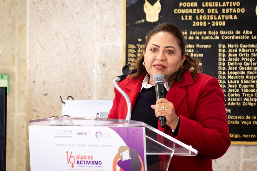 IEEH Presenta Libro “Avances, Desafíos En La Construcción De La Agenda De Paridad de Género en los Congresos Locales en México 2018-2022”