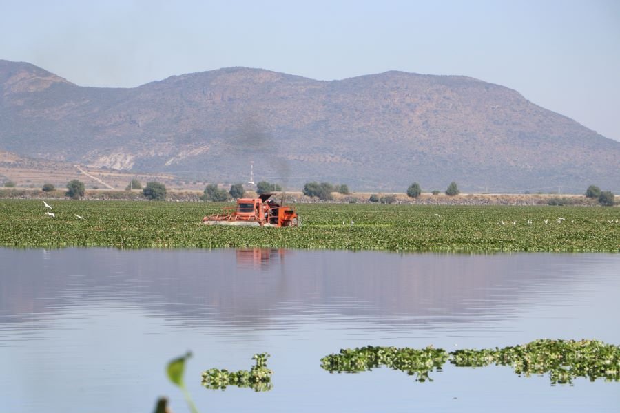 Intensifican Acciones en la Presa Endhó