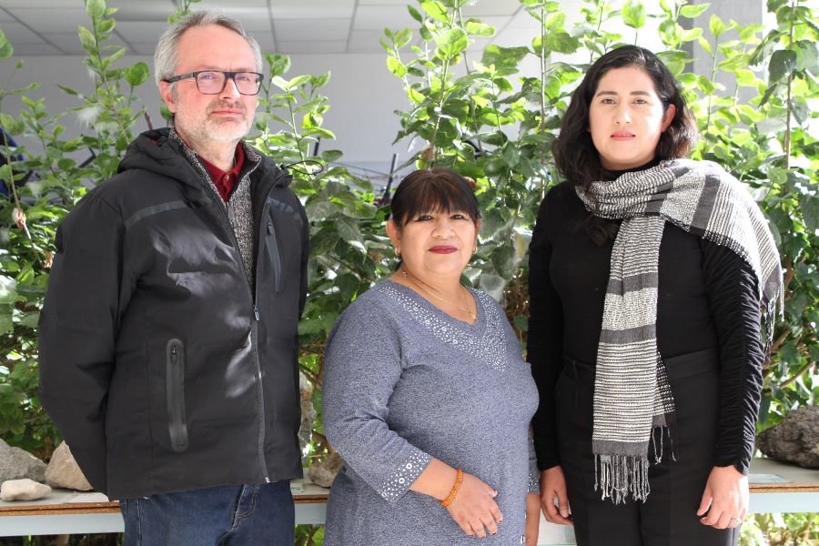 Patente para producción de óxido de grafeno beneficiará al sector salud y electrónico