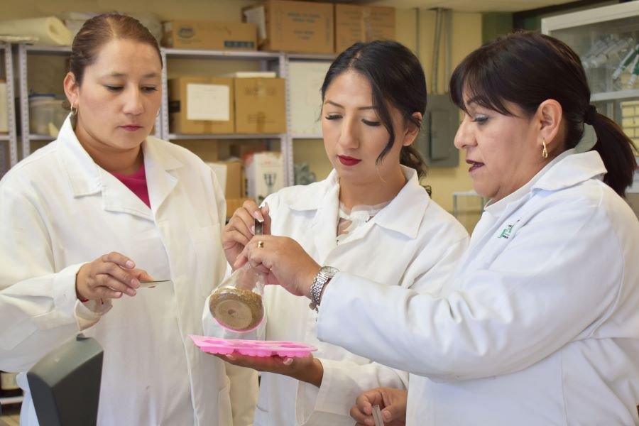 Proyecto del ITESA “Nutrikay” Obtuvo Tercer Lugar en Expociencias Chile 2024