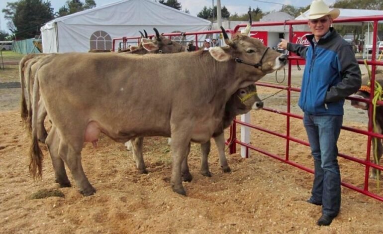 Amenaza Política Restrictiva de Trump al Sector Ganadero Mexicano