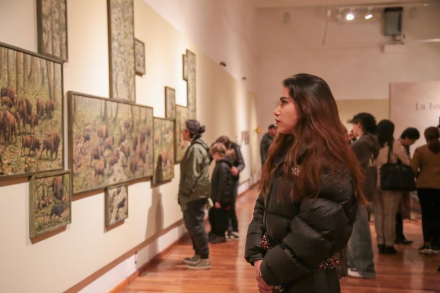 Artistas Hidalguenses Podrán Participar en la Convocatoria Nacional FPCC 2024