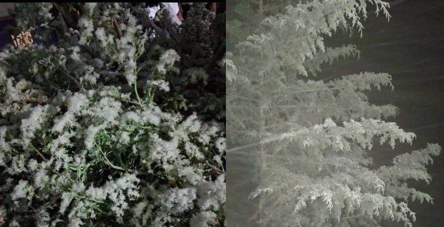 Reportan Nevadas y Caída de Agua Nieve en Zimapán, Zacualtipán, Acaxochitlán y Agua Blanca de Iturbide