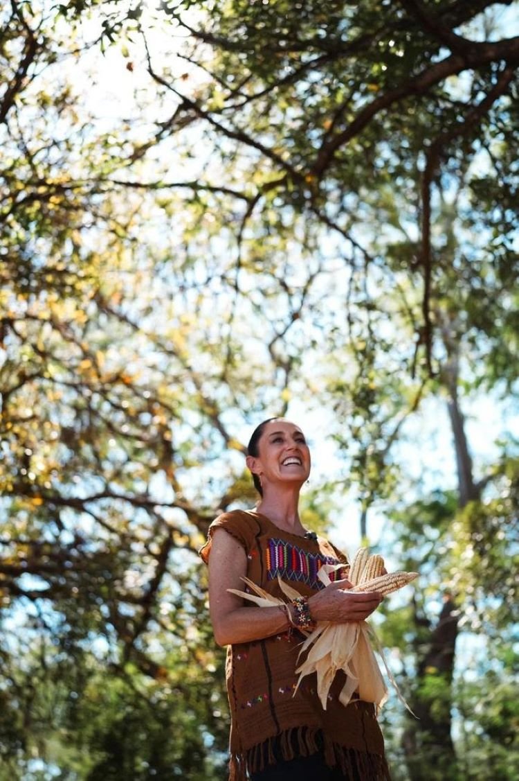 Presidenta Claudia Sheinbaum Envía al Congreso de La Unión Reforma Constitucional Para Proteger El Maíz Mexicano