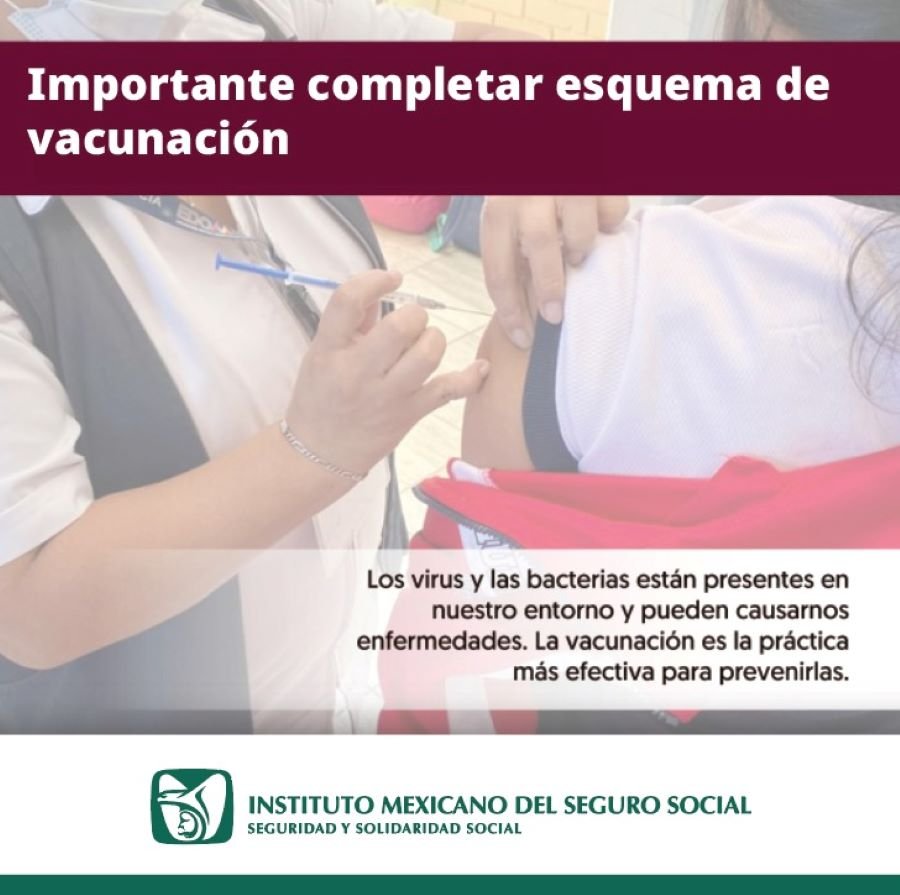 Refuerza IMSS Hidalgo Completar Esquema de Vacunación
