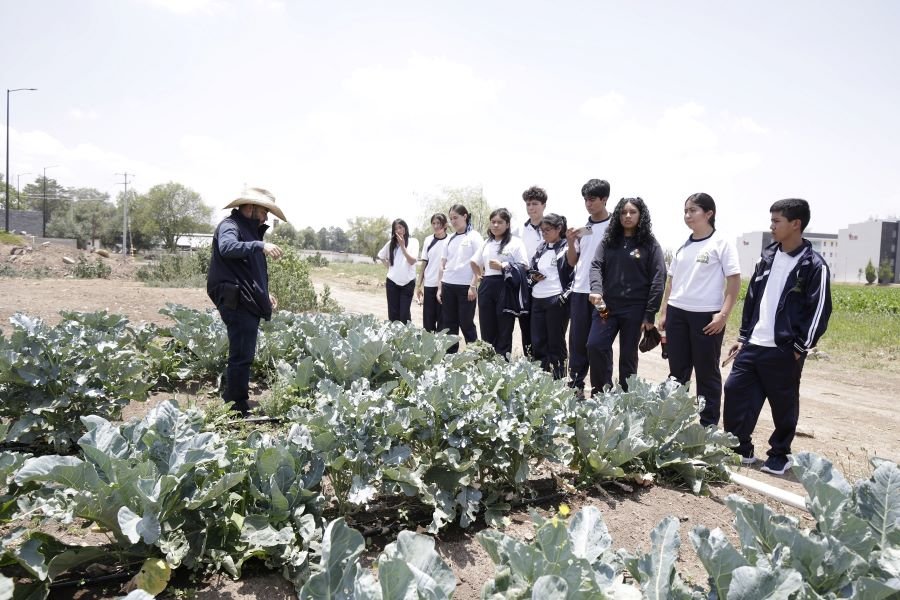 UAEH se Incorpora a AGRIS Por Sus Destacadas Investigaciones en Biodiversidad
