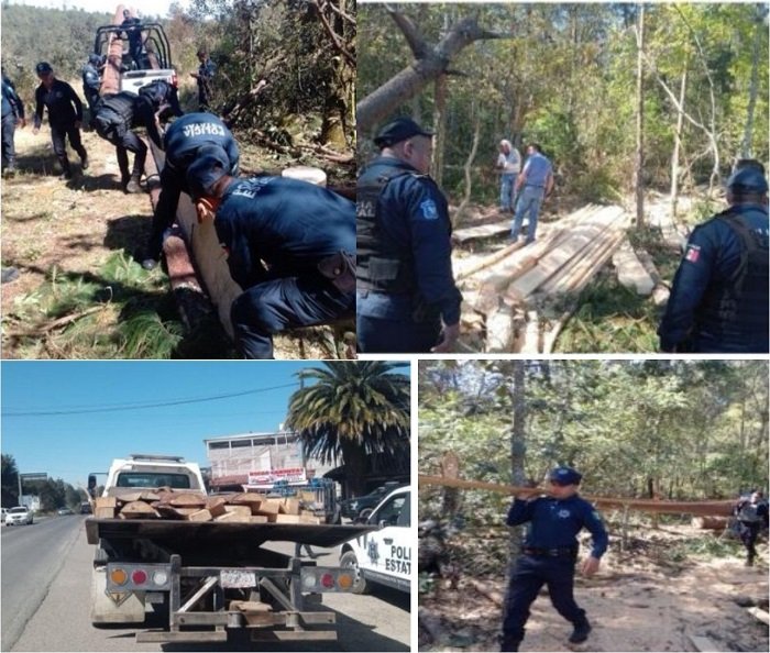 Asegura la SSPEH  a Dos Taladores de Arboles en Agua Linda, Municipio de Acaxochitlán
