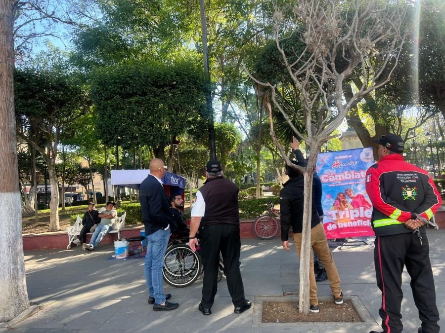 Fue Identificada Presencia de Planta Dañina en Arbolado de La Floresta