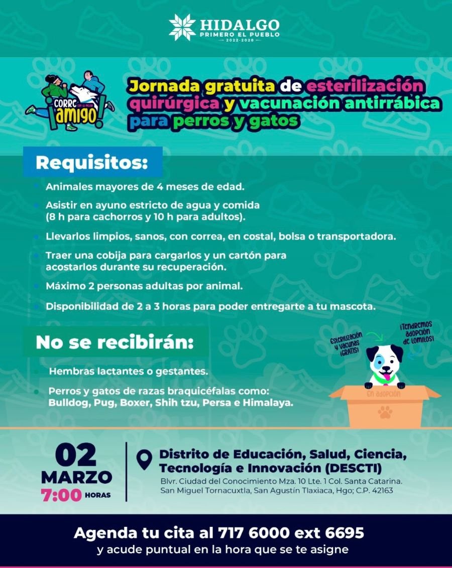 Gobierno de Hidalgo invita a la carrera “Corre con tu Amigo”