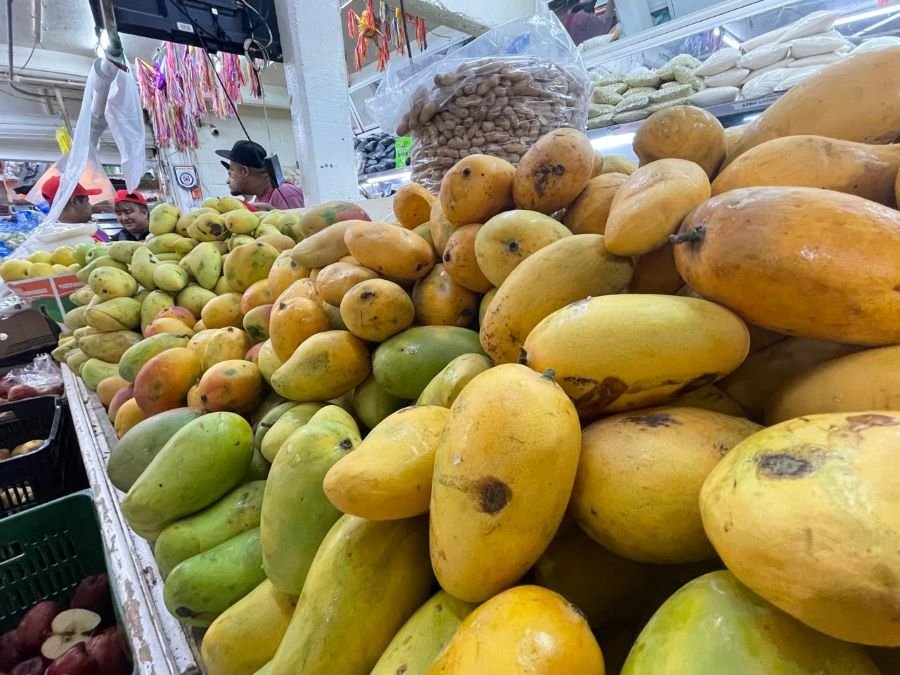 México Debe Fortalecer su Mercado Interno, Señala Especialista de la UAEH