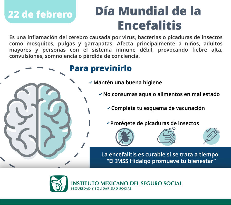 Recomienda IMSS Hidalgo Tomar Acciones Preventivas Contra Encefalitis