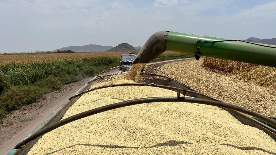 Se Disparan Nerviosismo e Incertidumbre en Sector Agroalimentario: Nexusagronegocios