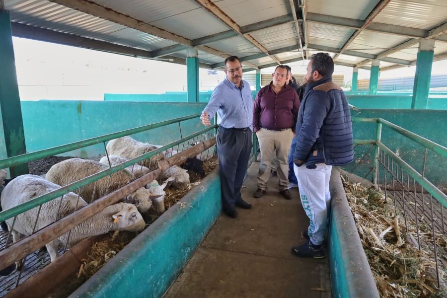 Secretaria del Campo Informa a Productores Sobre Apertura de Ventanilla Para Gestión de Apoyos Agropecuarios