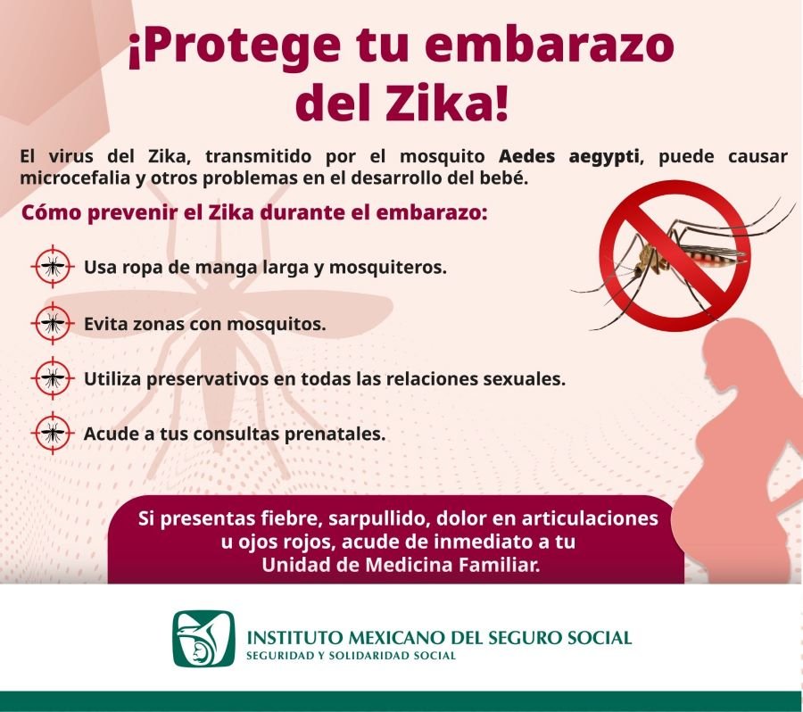 Sugiere IMSS Hidalgo Tomar Medidas Preventivas Contra Zika en Embarazadas