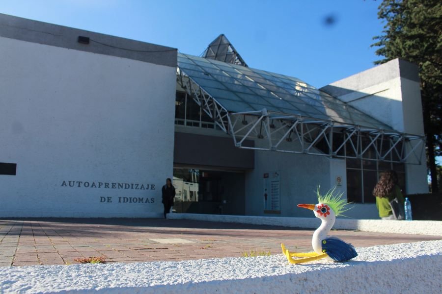 UAEH lista Para Desarrollar el IMFLIT 2025 y Fortalecer El Aprendizaje De Idiomas