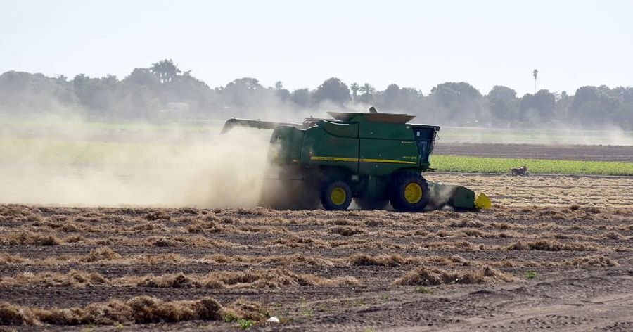 El Ejecutivo estatal cuenta con 120 millones del programa de Apoyos Económicos para Pérdidas Catastróficas Agrícolas y Pecuarias.