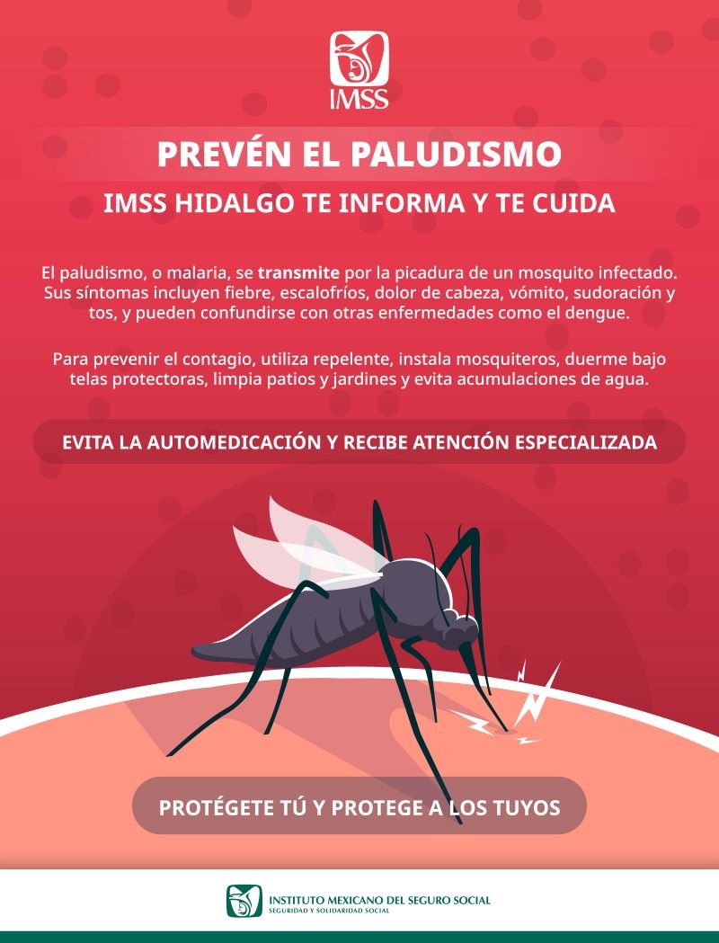 Brinda IMSS Hidalgo Recomendaciones Para Prevenir Paludismo