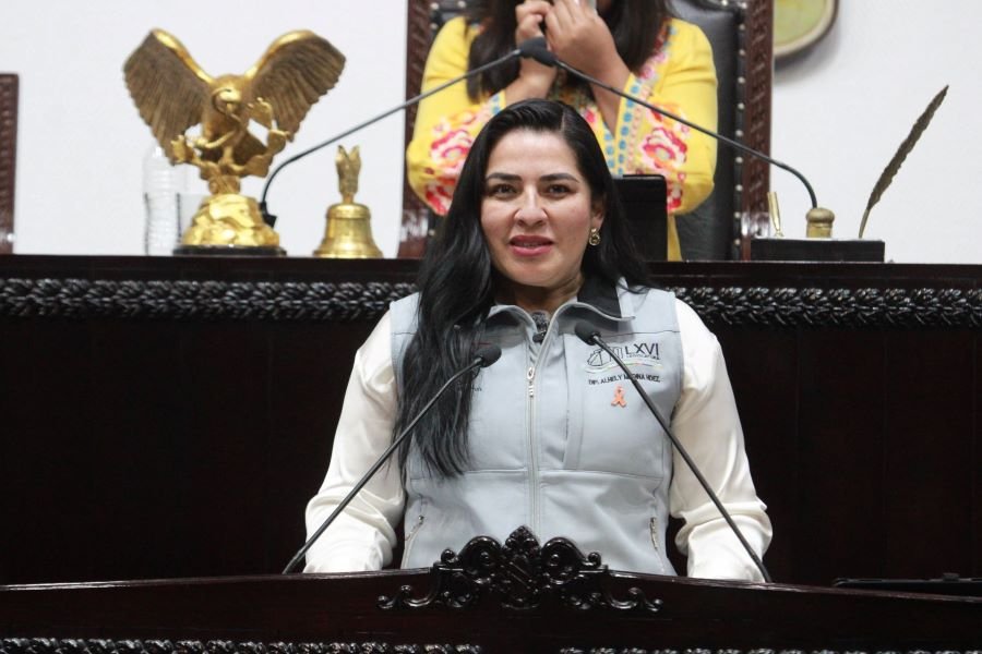 Plantea Alhely Medina Aumento a Penas Por Delito de Violencia Familiar