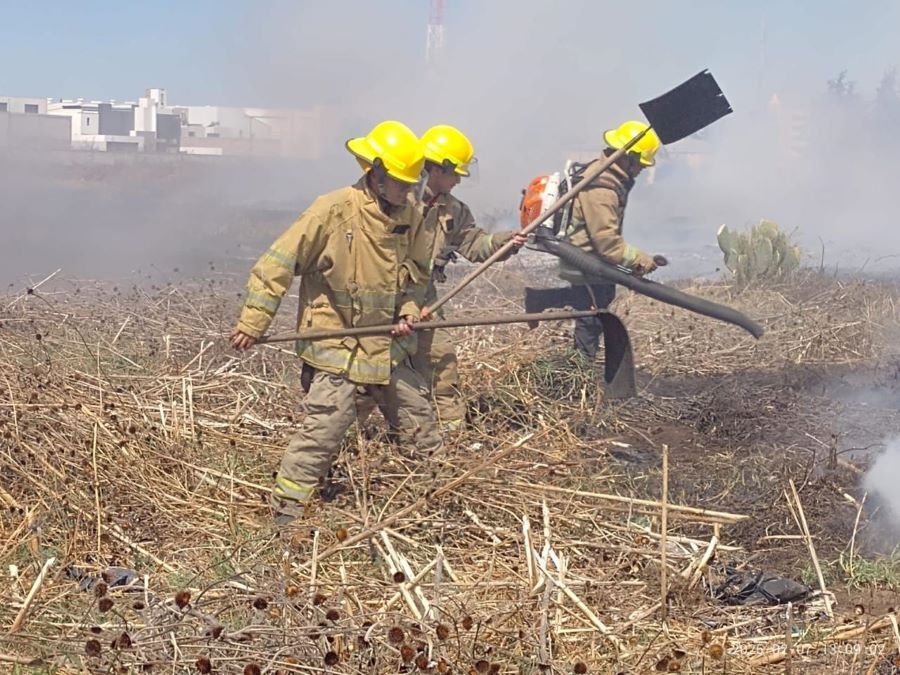 Protección Civil de Tulancingo Atendió en Marzo 82 Incendios de Pasto y Hierba Seca y Dos Forestales